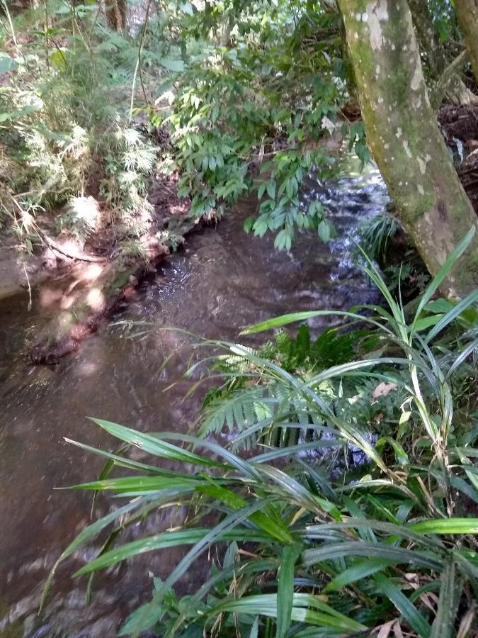 Chale Aroma Da Serra Monte Verde  Buitenkant foto