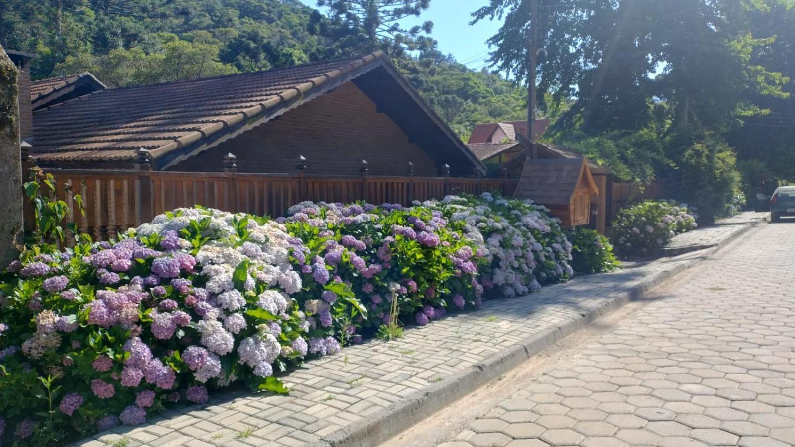 Chale Aroma Da Serra Monte Verde  Buitenkant foto